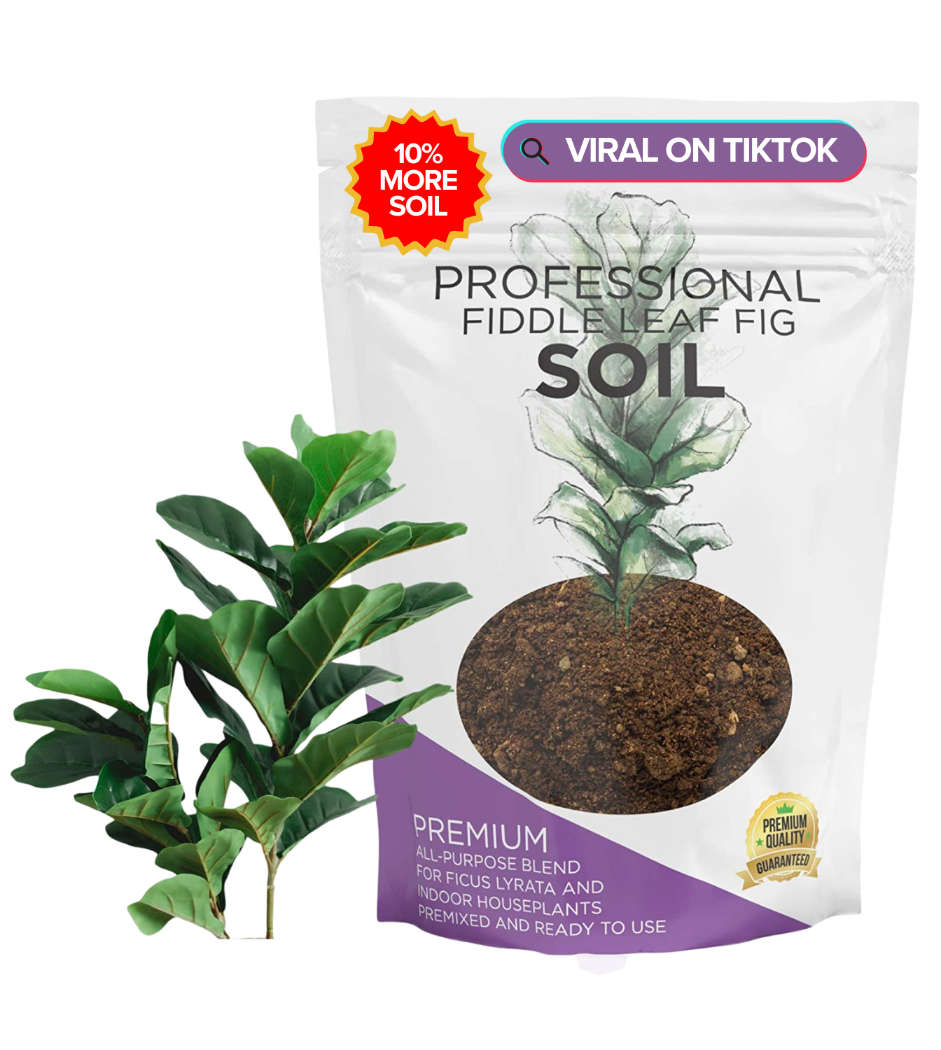 best soil for fiddle leaf fig plant Premium Fiddle Leaf Fig and House Plant Soil All Purpose Blend