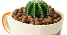 Load image into Gallery viewer, Professional Clay Pebbles