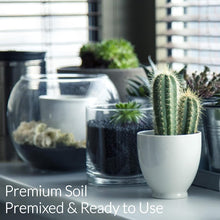 Load image into Gallery viewer, Professional Cactus Soil | Large 2.2 Quarts Ready to Use for Cactus Plants | Peat Moss, Coco Coir, Perlite, Dolomite