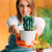 Load image into Gallery viewer, Professional Cactus Soil | Large 2.2 Quarts Ready to Use for Cactus Plants | Peat Moss, Coco Coir, Perlite, Dolomite