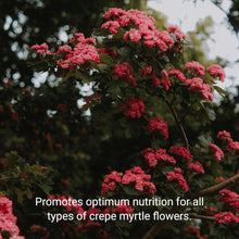 Load image into Gallery viewer, Professional Crepe Myrtle Liquid Fertilizer - 2-5-4 Nutrient Blend - 8 oz