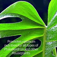 Load image into Gallery viewer, Professional Liquid Philodendron Plant Fertilizer | 3-1-2 Concentrate for House Plants | Multi-Purpose Blend & Gardening Supplies | 8 oz Bottle
