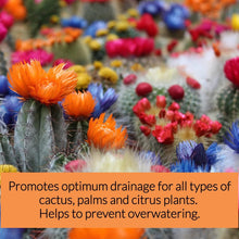 Load image into Gallery viewer, Professional Cactus Soil | Large 2.2 Quarts Ready to Use for Cactus Plants | Peat Moss, Coco Coir, Perlite, Dolomite