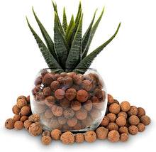 Load image into Gallery viewer, Professional Clay Pebbles