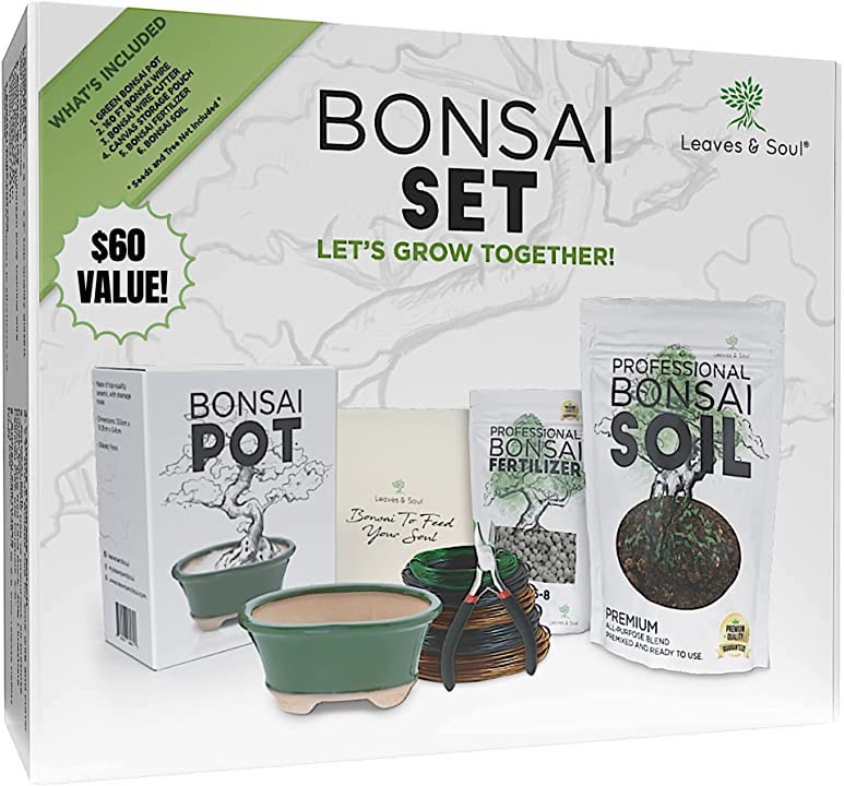 bonsai tree growing kit Complete Bonsai Set | GREEN