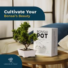 Load image into Gallery viewer, Glazed Ceramic Bonsai Pot | White Rectangular