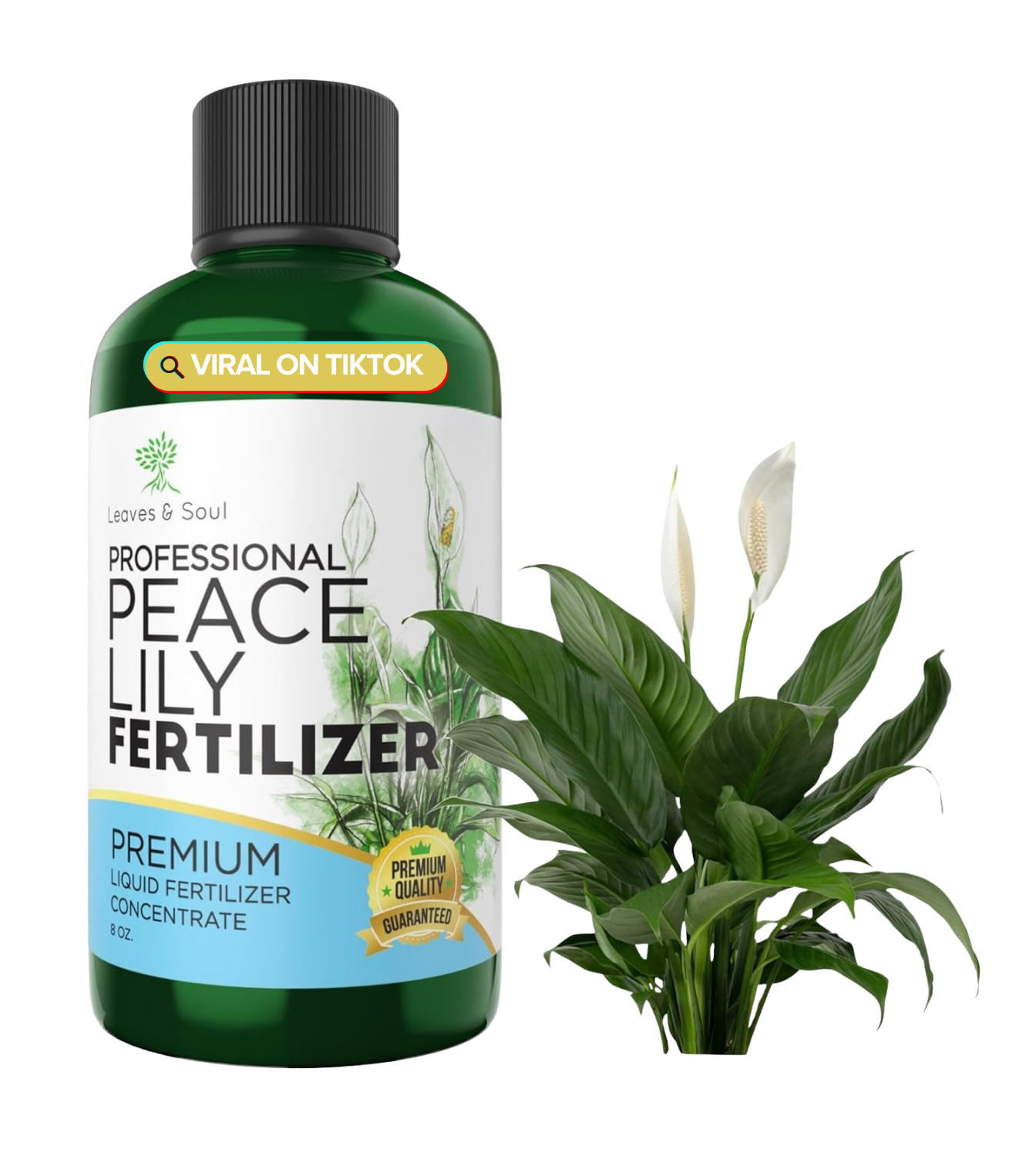 fertilizer for peace lily plant Professional Liquid Peace Lily Plant Fertilizer