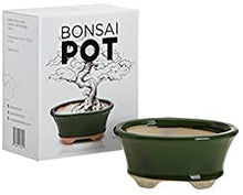 Load image into Gallery viewer, Complete Bonsai Set | GREEN - Soil, Fertilizer, Green Pot and Wire Kit