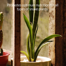 Load image into Gallery viewer, Professional Liquid Snake Plant Fertilizer
