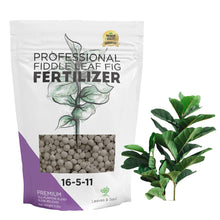 Load image into Gallery viewer, Fiddle Leaf Fig and House Plant Fertilizer Pellets | 16-5-11 Slow Release