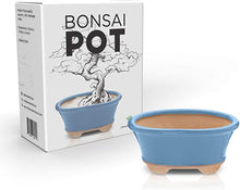 Load image into Gallery viewer, Glazed Ceramic Bonsai Pot | Light Blue