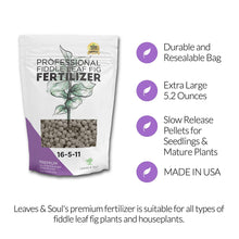 Load image into Gallery viewer, Fiddle Leaf Fig and House Plant Fertilizer Pellets | 16-5-11 Slow Release