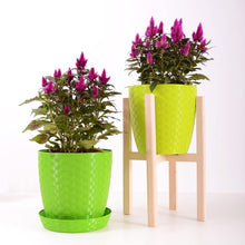 Load image into Gallery viewer, Indoor Plant Fertilizer Pellets Macro+