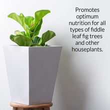 Load image into Gallery viewer, Professional Liquid Fiddle Leaf Fig Plant Fertilizer
