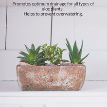 Load image into Gallery viewer, Professional Aloe Plant Soil | Pre-Mixed 2.2 Dry Quarts