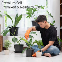 Load image into Gallery viewer, Premium Fiddle Leaf Fig and House Plant Soil All Purpose Blend | Pre-mixed 2.2 and 8.2 Dry Quarts