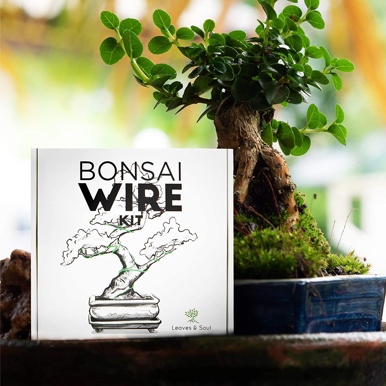 bonsai tree wire kit Leaves and Soul Tree Training Wire Kit
