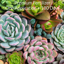 Load image into Gallery viewer, Succulent Fertilizer Pellets | 13-11-11 Slow Release