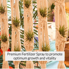Load image into Gallery viewer, Professional Air Plant Fertilizer Spray