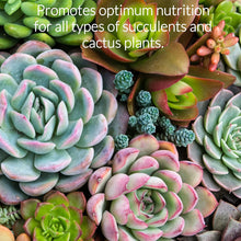 Load image into Gallery viewer, Professional Liquid Succulent Plant Fertilizer