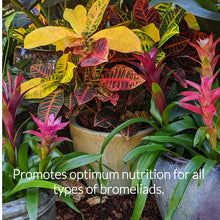 Load image into Gallery viewer, Professional Bromeliad Fertilizer Spray