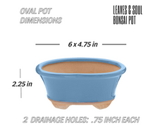 Load image into Gallery viewer, Glazed Ceramic Bonsai Pot | Light Blue