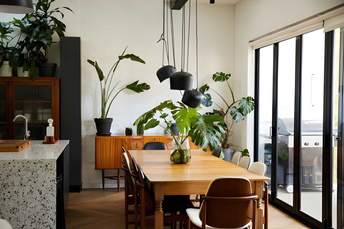 7 Best Indoor Houseplants for a Healthier Home