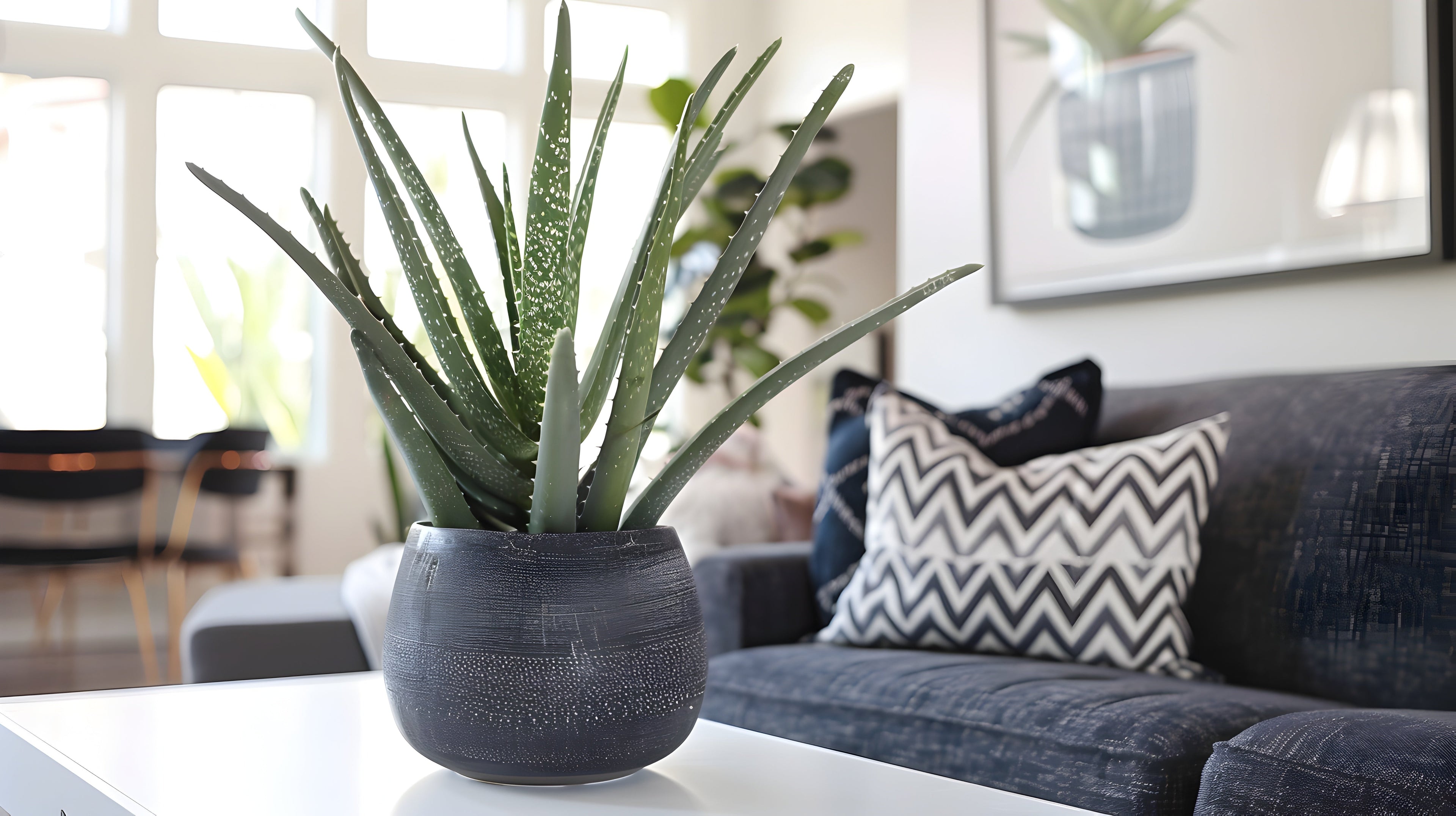 Aloe Vera at Home: Grow Your Own for Beauty and Healing