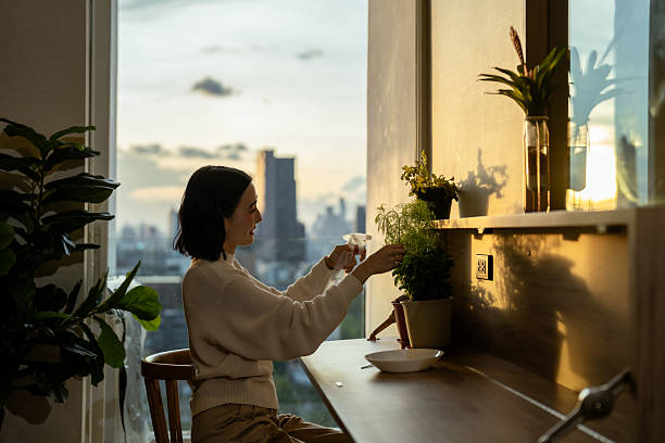 5 Houseplant Trends Worth Jumping on in 2025