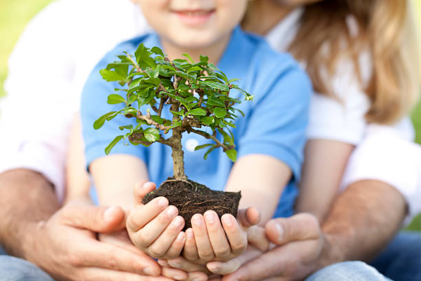 Beginner Bonsai Trees You Can’t Kill (Promise!)