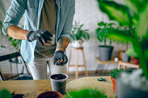 Best Organic Fertilizer For Plants