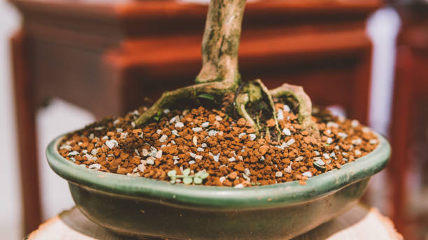 Bonsai Soil Mix Recipe