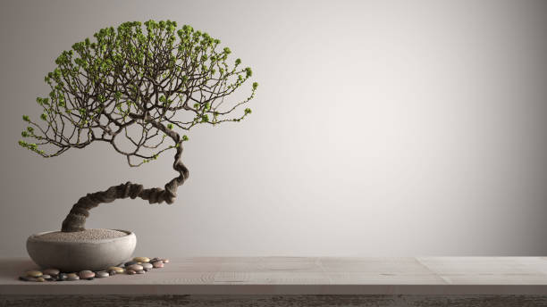 Bonsai from Seed: A Patient Grower's Practical Guide
