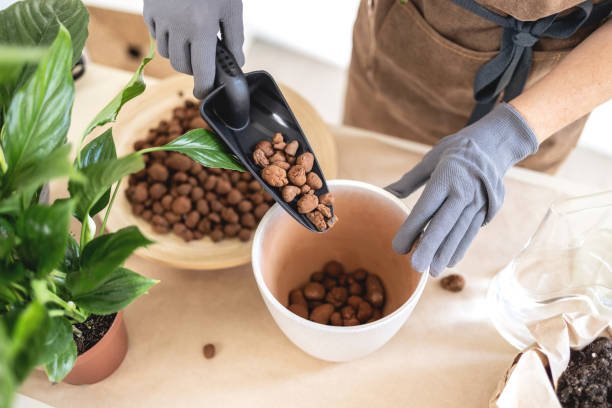What Clay Pebbles Do for Your Potted Plants