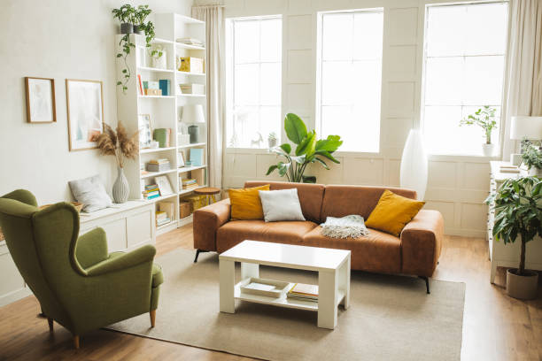 Easy Plants for Homes That Are Already Full 
