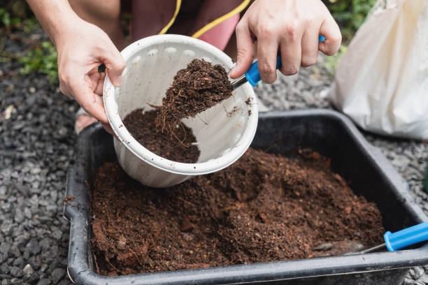 How to Bring Old Potting Soil Back to Life