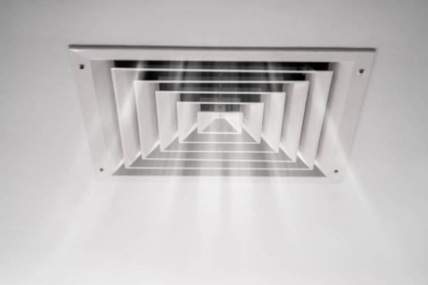 How HVAC Vents Quietly Dry Out Sensitive Houseplants