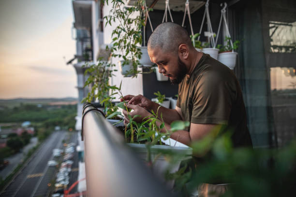 How Living With Plants Changes the Way a Home Feels 