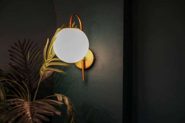 How Plants Store Energy Overnight — The Science of Plant “Sleep”