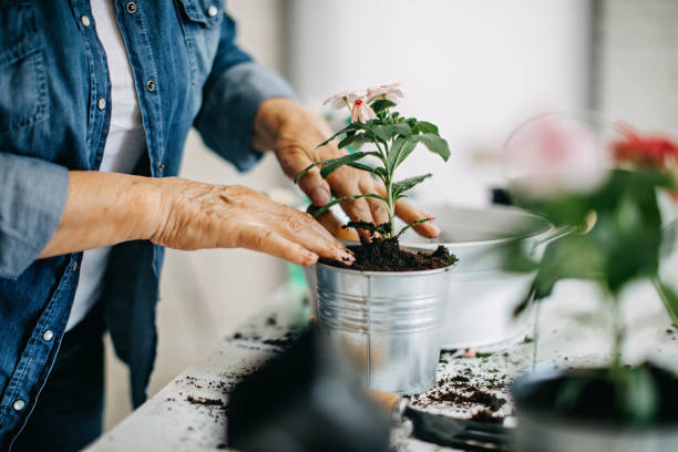 Why Your Potting Soil Gets Compacted and How to Loosen It Safely