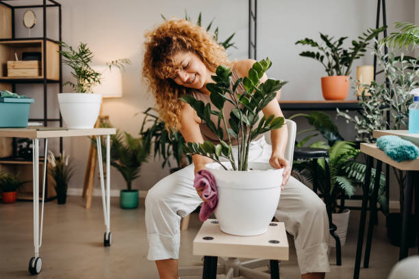 Why Fertilizing Can Trigger Sudden Pest Outbreaks