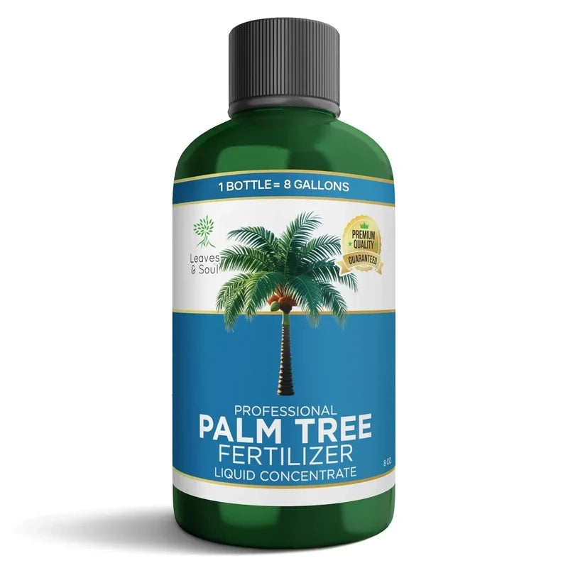 Liquid Palm Tree Fertilizer: When And How To Feed Your Palm