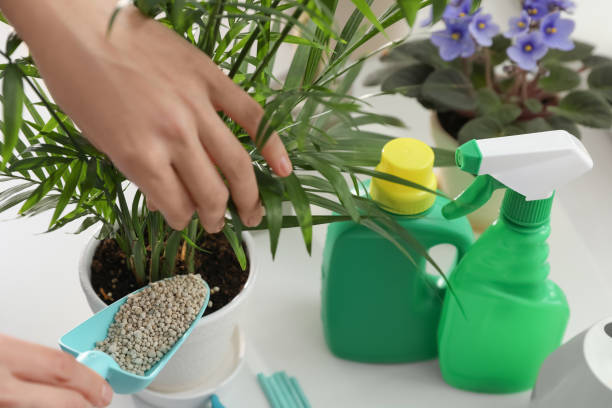 Liquid vs Pellet Indoor Plant Fertilizer: Which One to Use