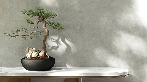Make a Bonsai: Start Your Living Art Today