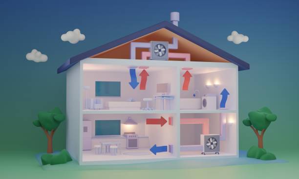Microclimates at Home: How to Find Spots Where Plants Grow Faster