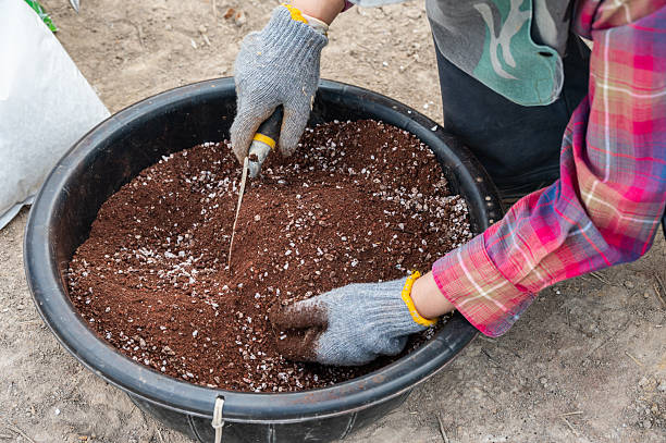 Organic vs Chemical Fertilizers: The Indoor Plant Showdown