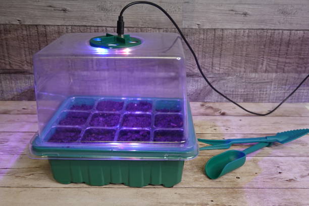 Seed Starter Light Kit
