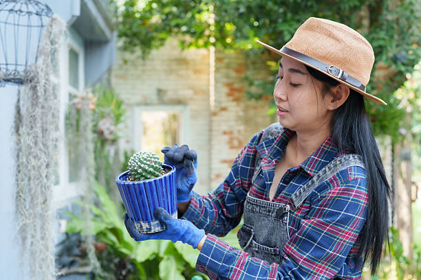 The Best Fertilizer for Succulents in 2026