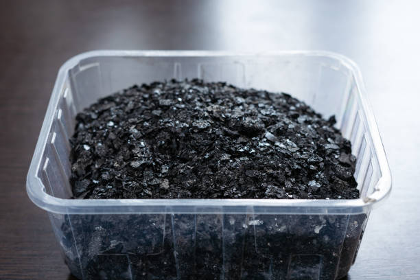 The Hidden Benefits of Biochar for Stronger Indoor Plant Growth