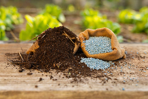 What is Slow Release Fertilizer? A Complete Guide for 2026